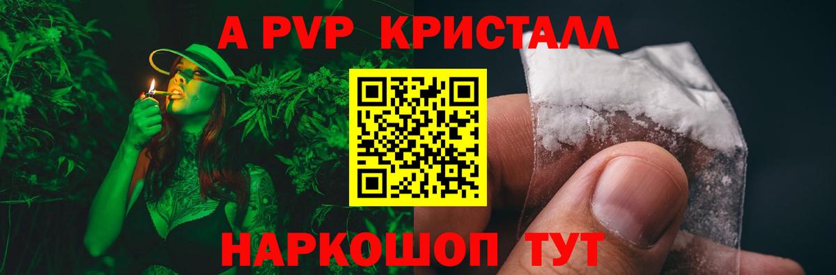 Alfa_PVP СК Спасск-Дальний