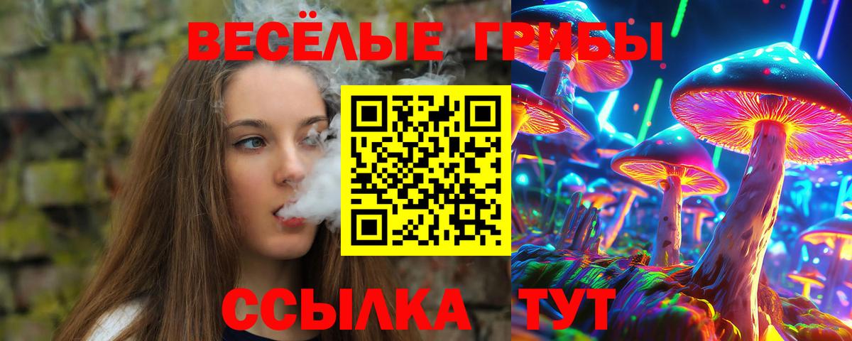 Галлюциногенные грибы MAGIC MUSHROOMS  цена   Спасск-Дальний  Вход с VPN 